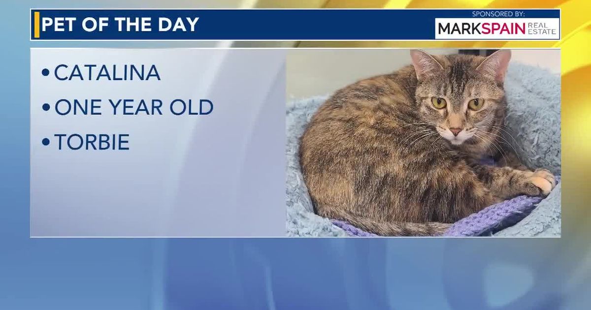 Pet of the day 'Catalina'