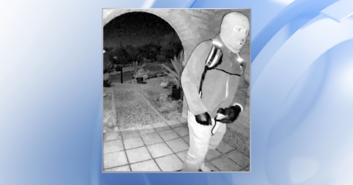 Nancy Guthrie search: Investigators release suspect description