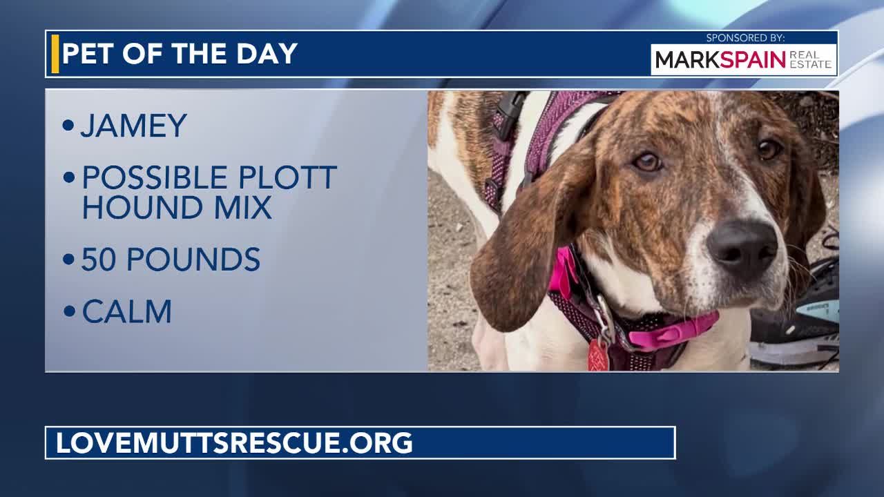 Pet of the Day September 14, 2026