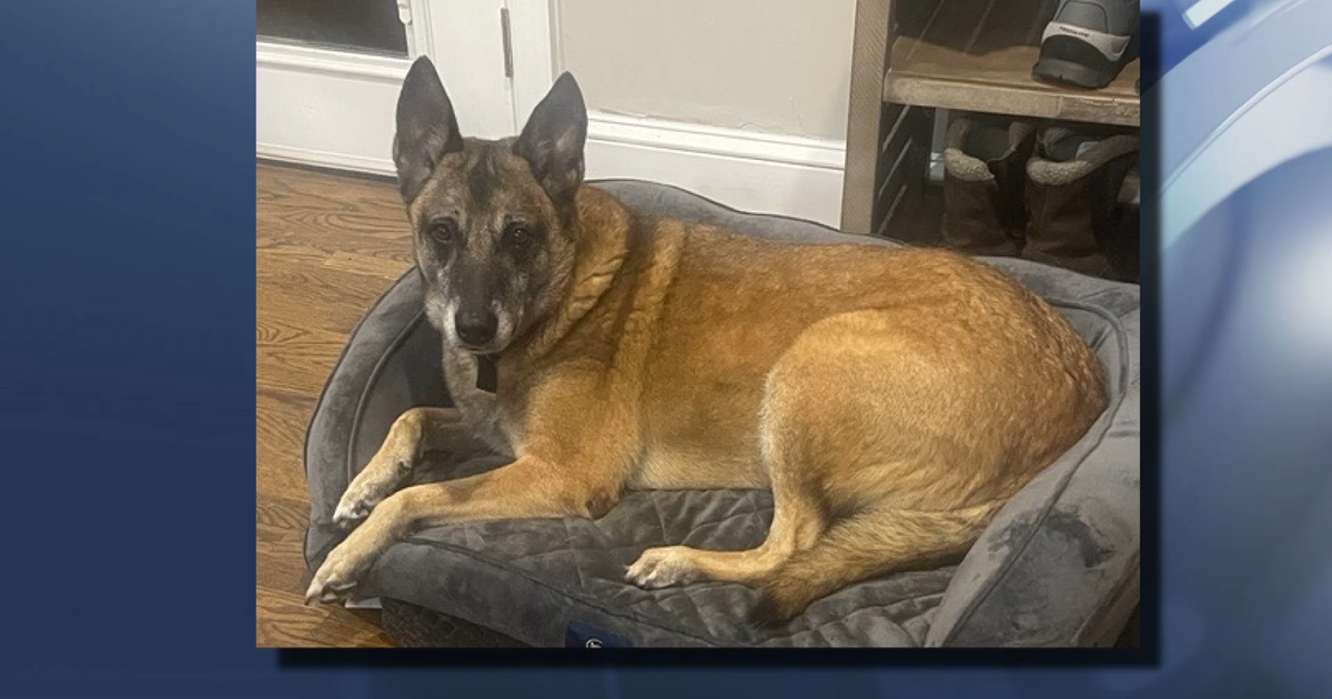 Wake deputy accused of shooting Raleigh family's dog no longer working with sheriff's office