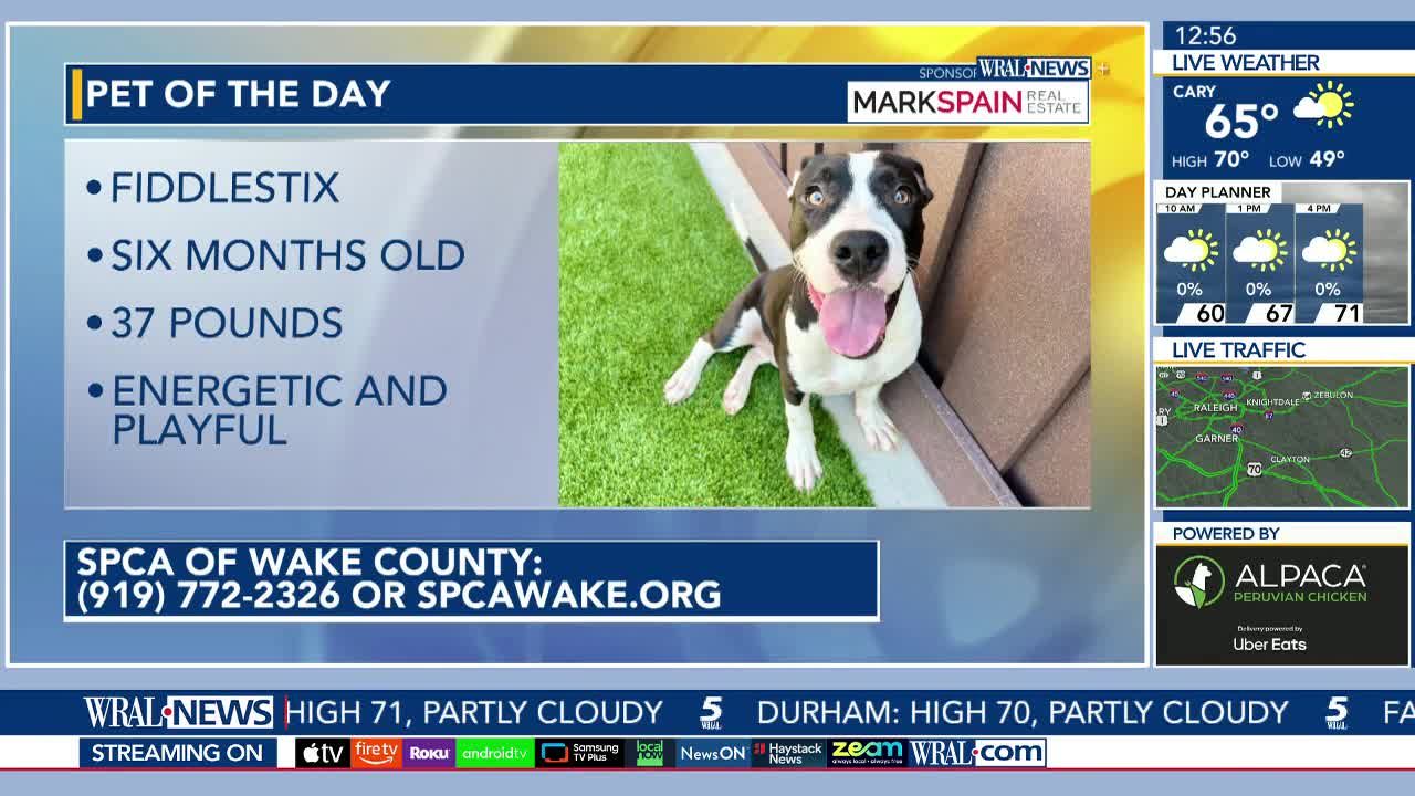Pet of the day September 25, 2026