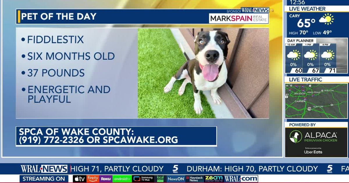 Pet of the day September 25, 2026