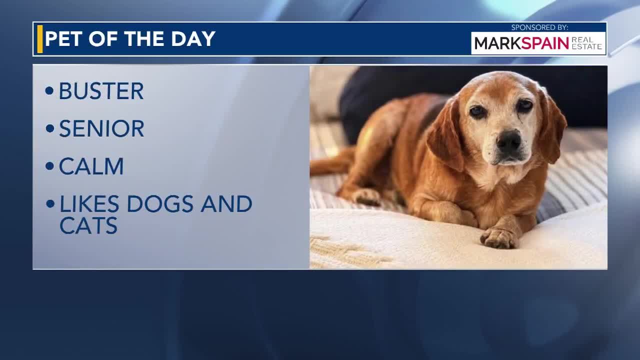 Pet of the Day for Sept. 22, 2026