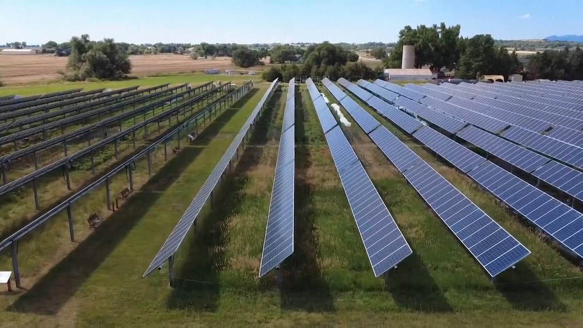 wral.com - Liz McLaughlin, WRAL climate change reporter - Pushback grows over North Carolina decision to pause solar projects