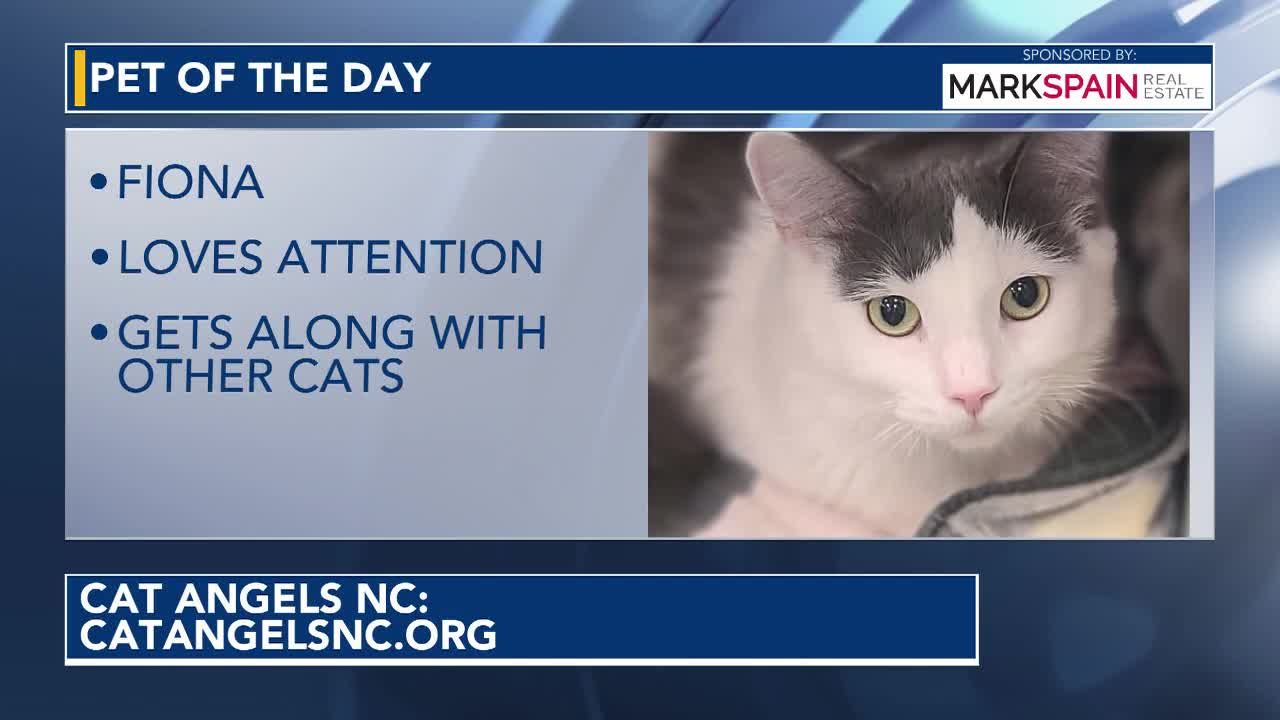 Pet of the Day for September 9, 2026