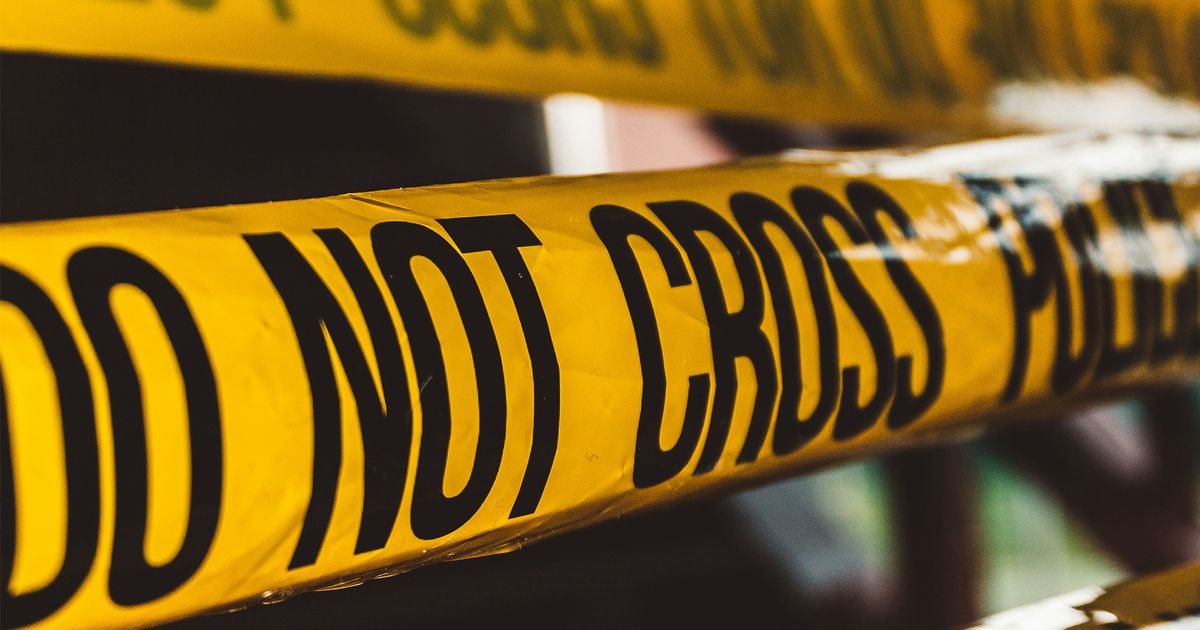 Assault News Image