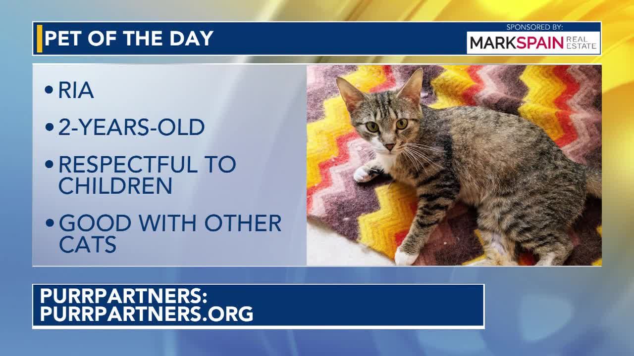 Pet of the Day for September 7, 2026
