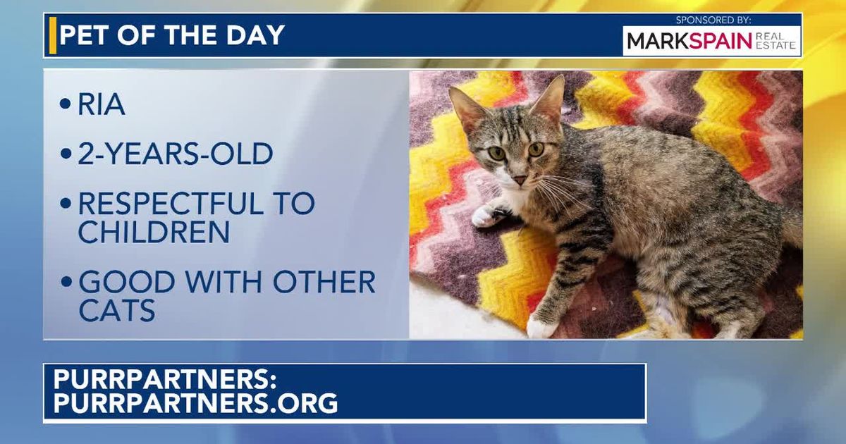 Pet of the Day for September 7, 2026
