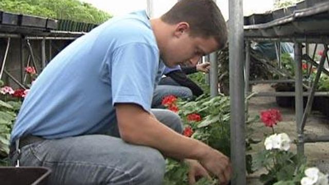 Students learn about gardening