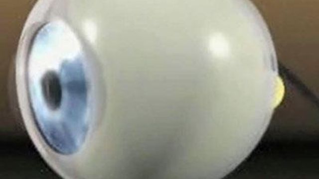Bionic eye lets the blind see