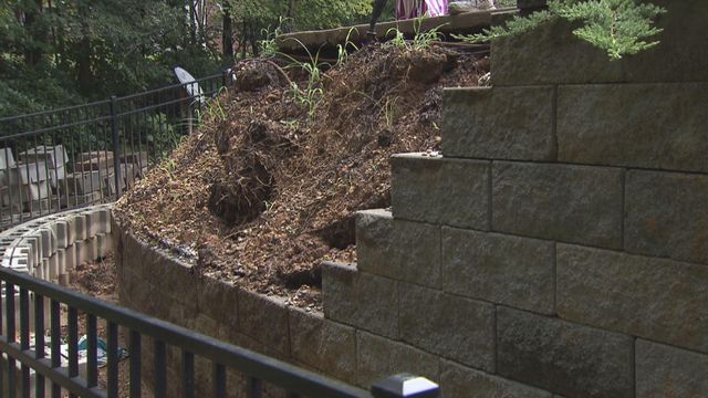 5OYS helps viewer to get tranquil backyard back