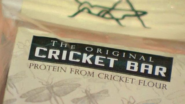 Cricket-flour products pass the taste test