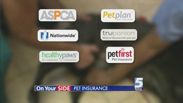 Pet insurance taking bite out of vet bills
