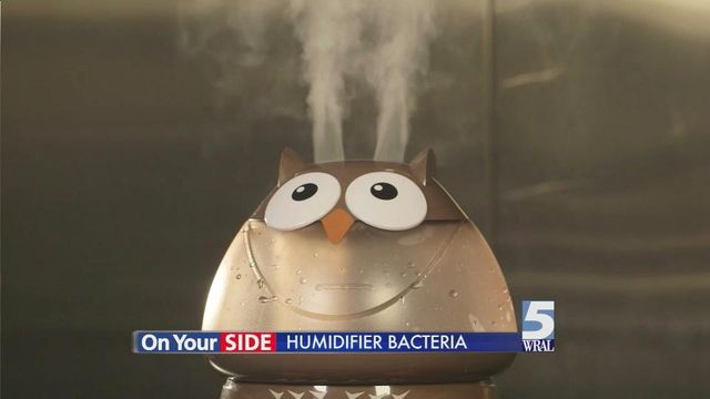 Humidifier type, care can prevent bacteria spread