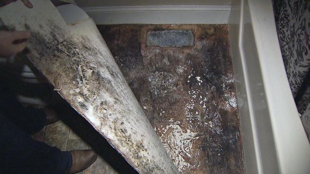 Mold a top complaint of Triangle-area renters