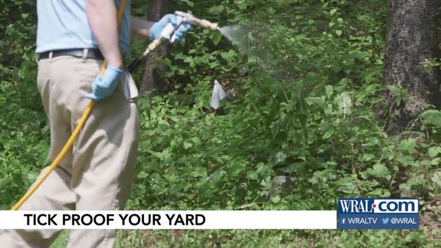 Easy solutions to tick-proof your yard as peak season arrives