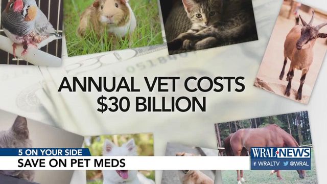 Consumer Reports: Save big on pet meds