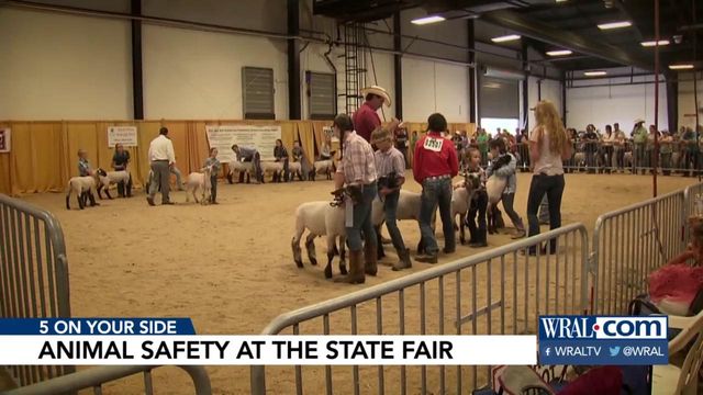 Have fun but be careful not to catch germs around State Fair animals