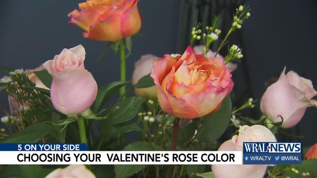 5 On Your Side: How to buy, care for roses