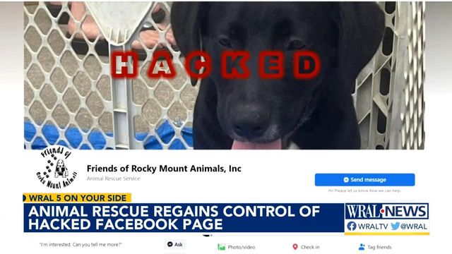 After two months of effort, animal rescue gets access to Facebook back