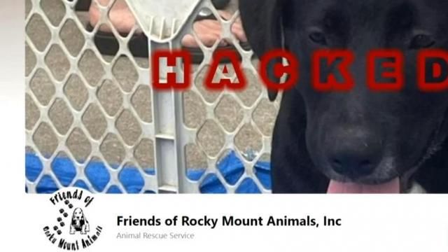 Petition · ADOPT ME SHOULD GIVE BACK HACKED PETS! ·