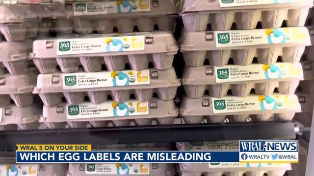 Five On Your Side investigates egg product labels and ways to save money