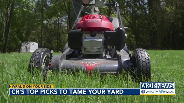Five on Your Side: The bets for lawn care this summer