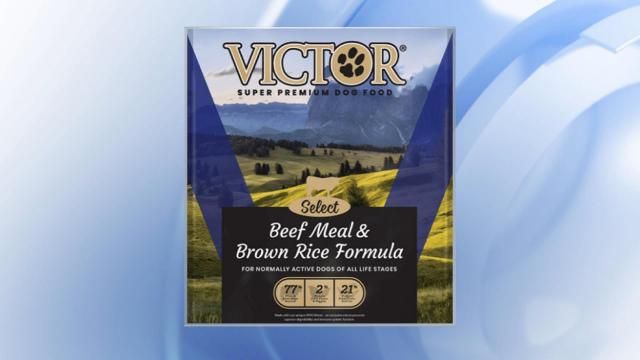 Victor beef outlet meal