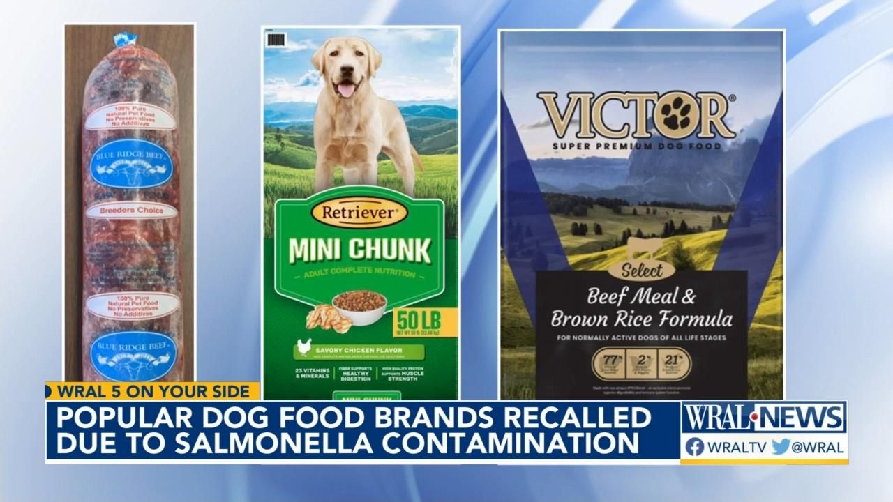 Dog food brands recalled due to possible salmonella contamination