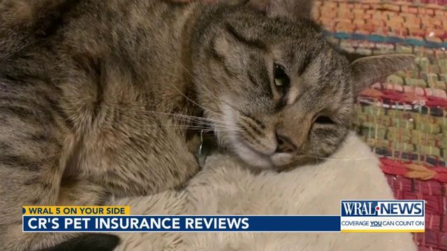 Consumer Reports' pet insurance reviews