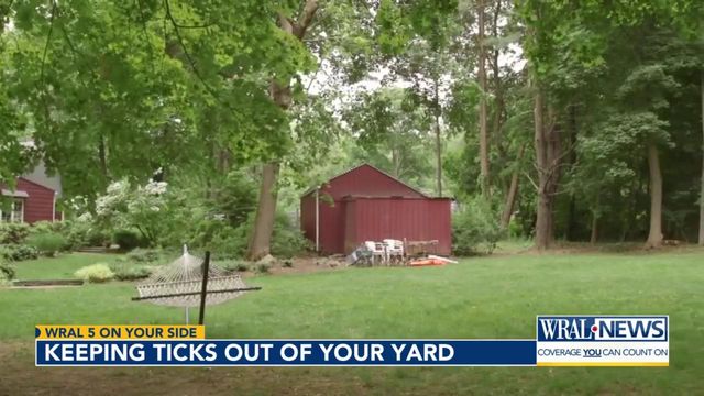 Keeping ticks out of your yard