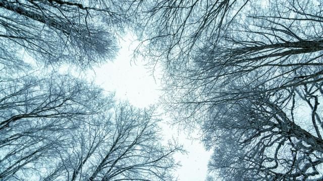 5 On Your Side: Take steps now to protect your home this winter