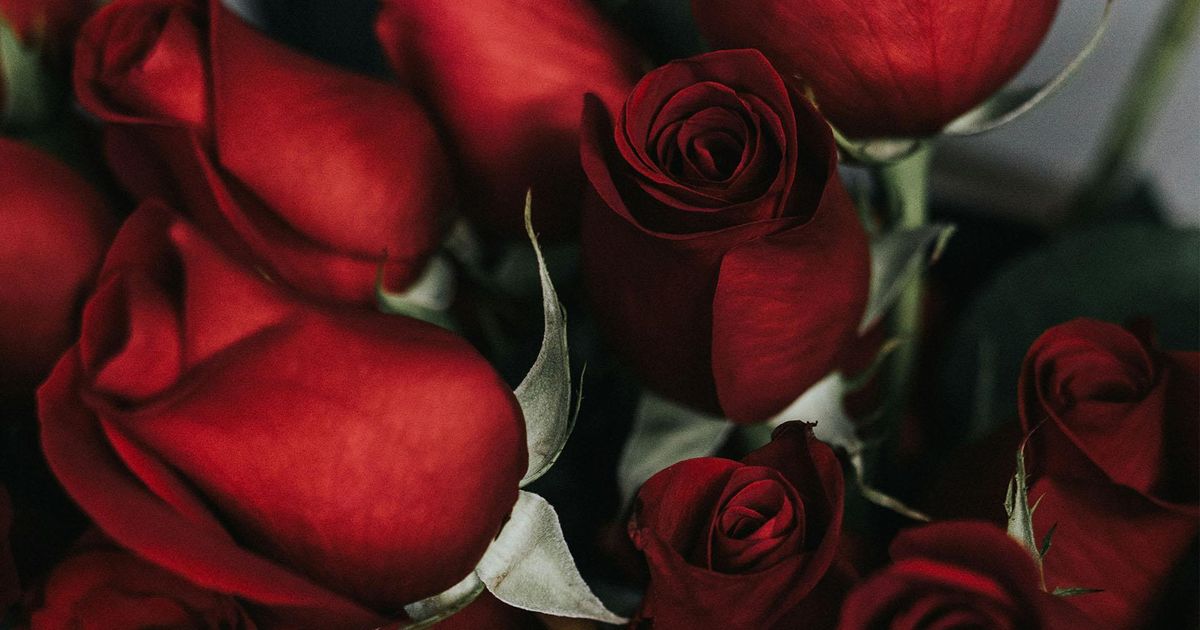 North Carolinians have lost millions in romance scams. What FBI, BBB warn ahead of Valentines Day