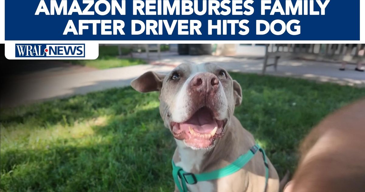 Family reimbursed thanks to 5 On Your Side after Amazon delivery driver hits dog