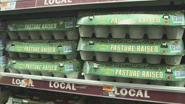 Eggs in short supply as prices rise