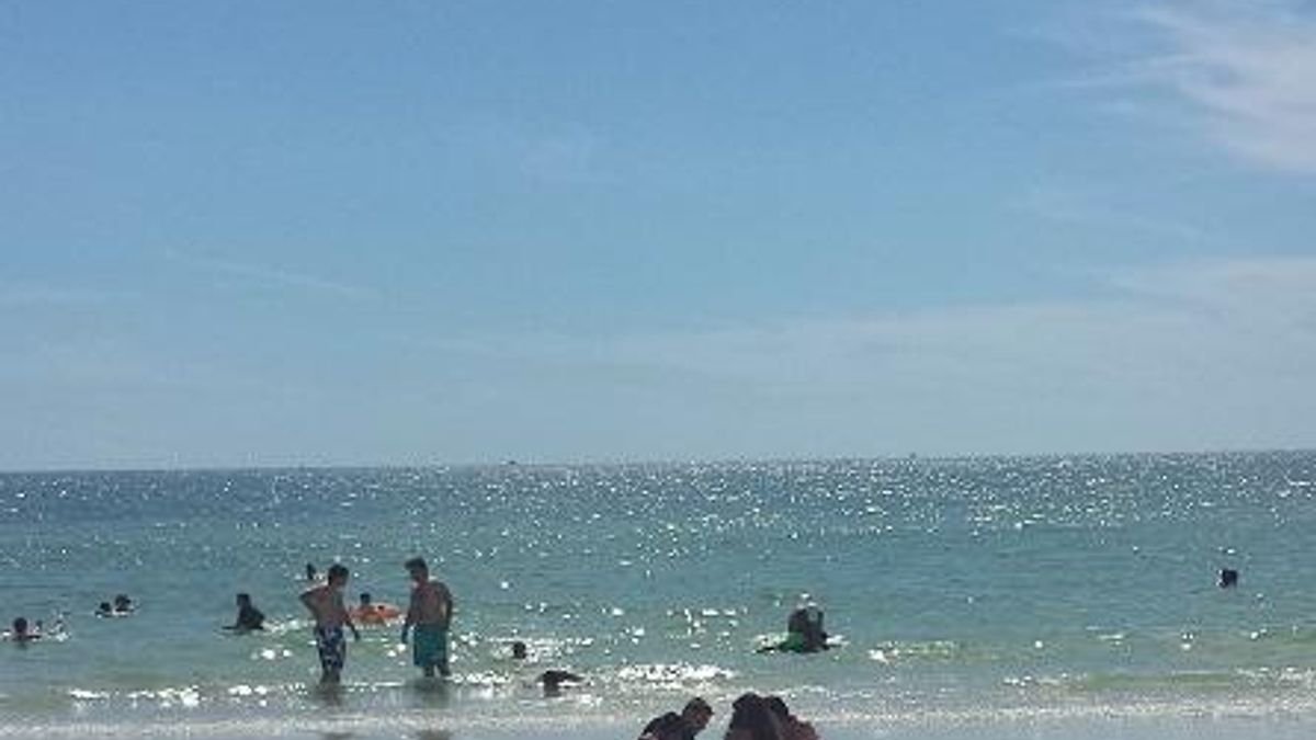 Enjoying the beach 