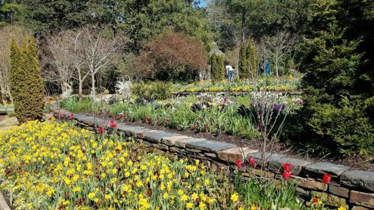 Sarah P. Duke Gardens - What to do in Durham North Carolina
