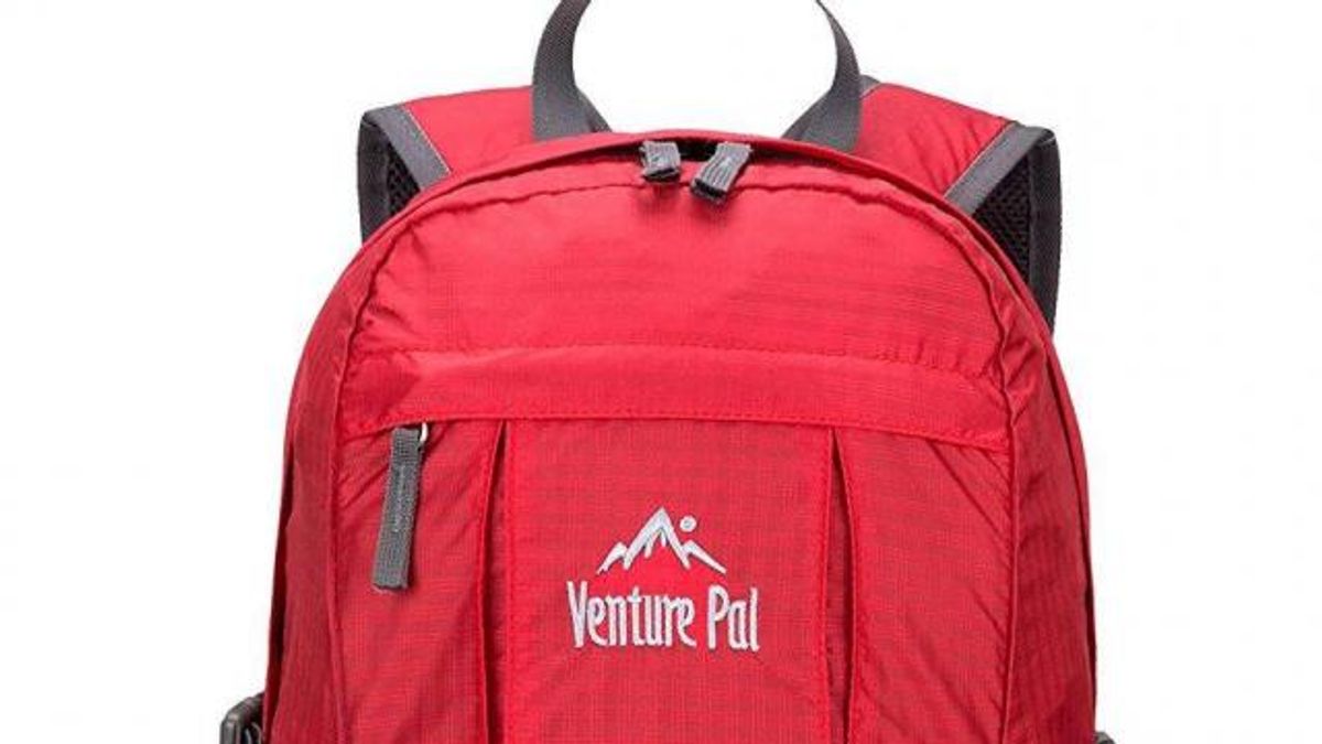 Venture Pal Lightweight Hiking Backpack 