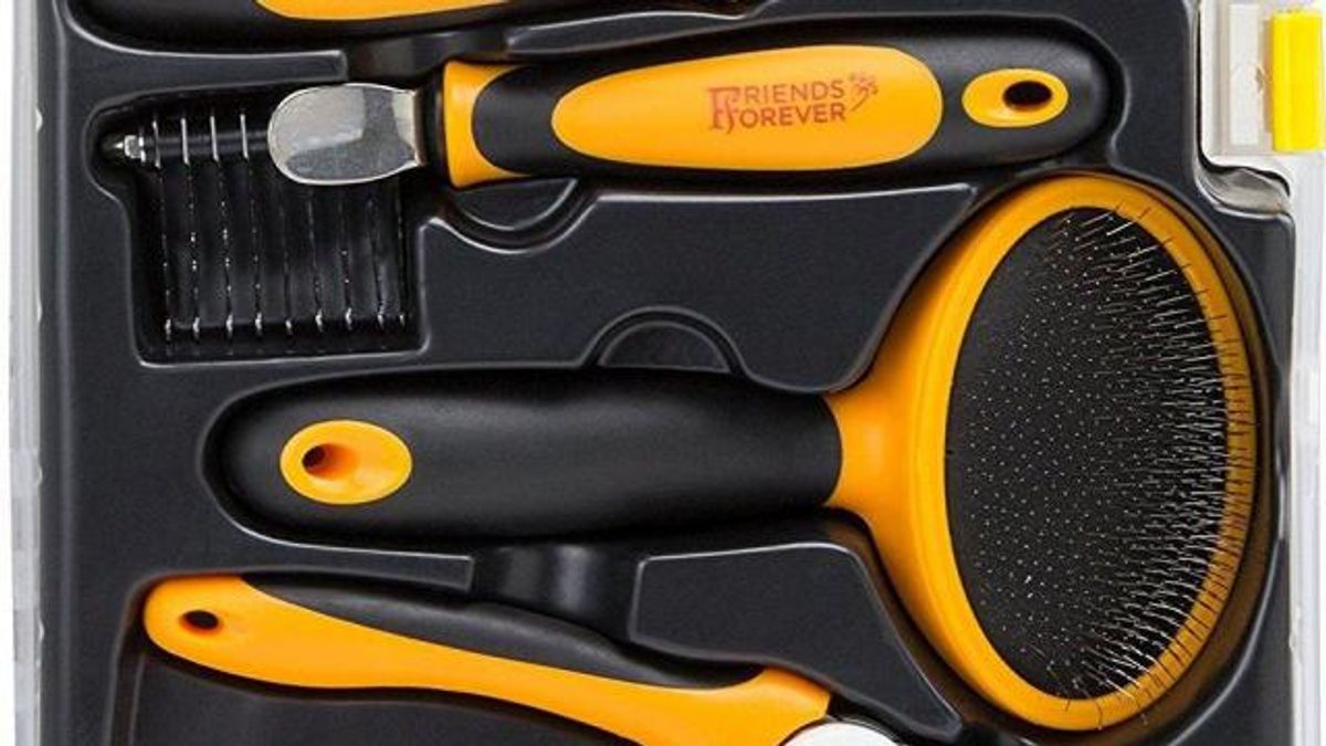 Friends Forever Pet Grooming Kit