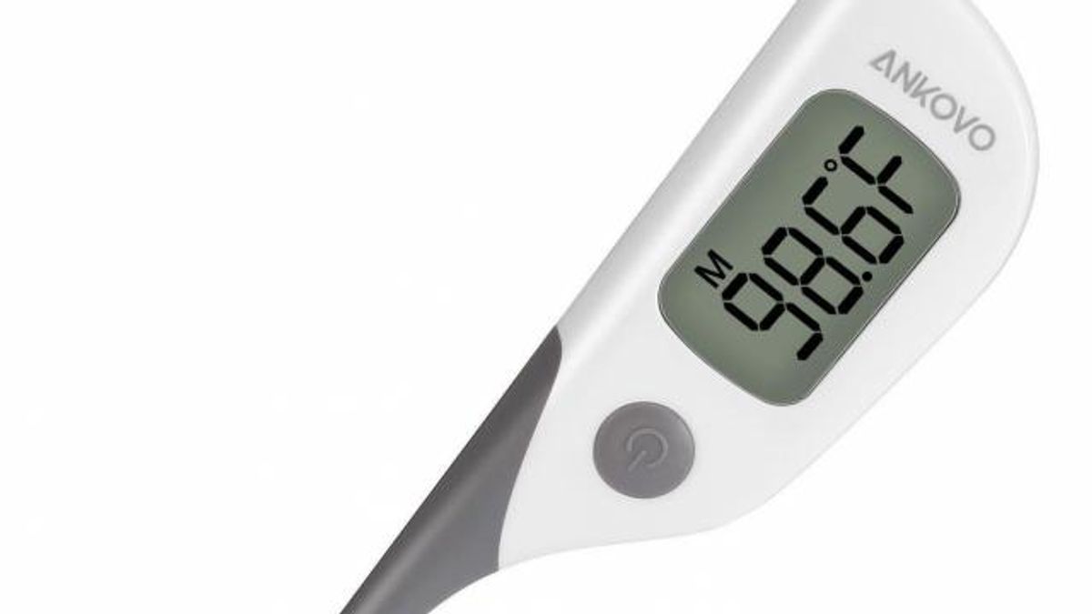 Digital Waterproof Thermometer