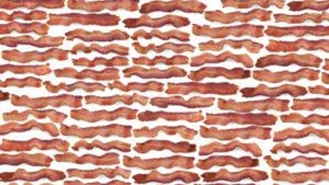 Request FREE Bacon Printed Wrapping Paper