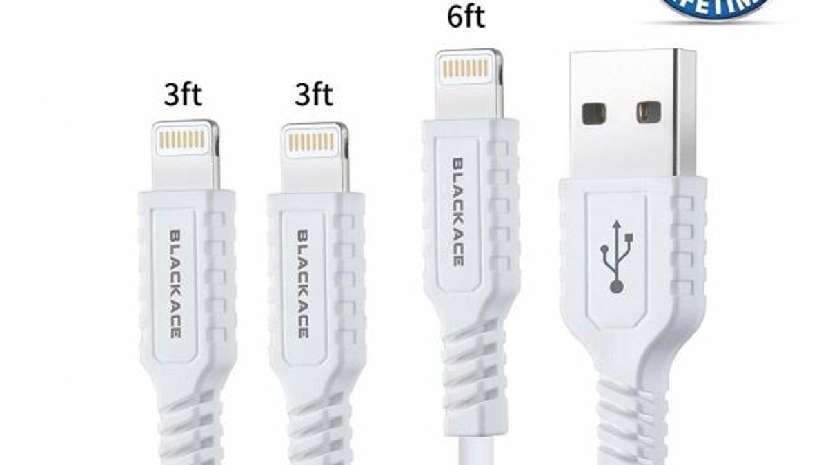 iPhone charger cable 3 pack