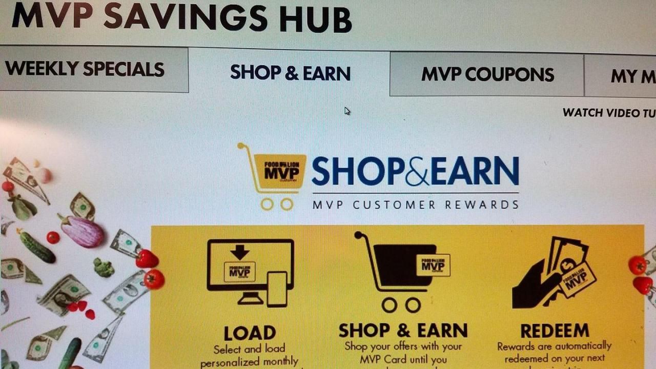 Food Lion website