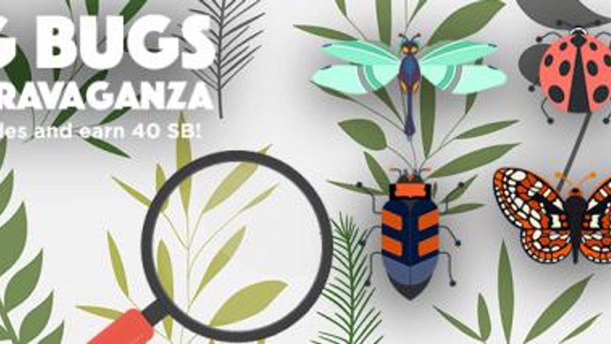 Swag Bugs Code Extravaganza