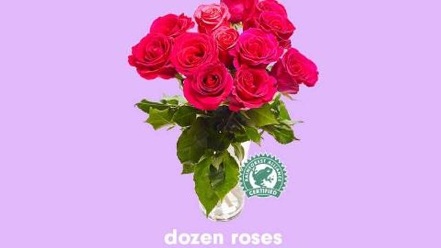 Dozen roses only $3.99 at Lidl through Tuesday