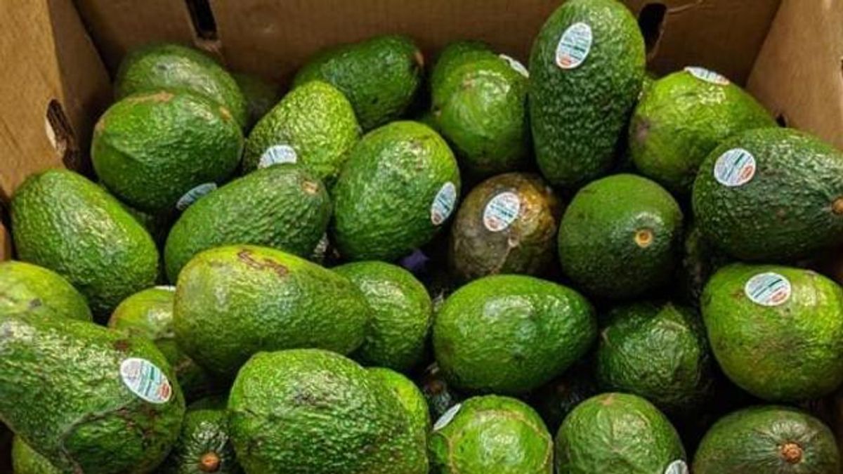 Avocados