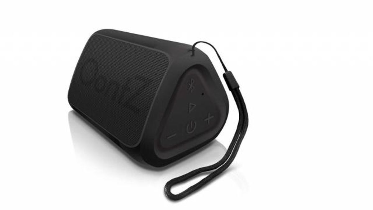 Bluetooth Portable Speaker (photo courtesy Amazon)
