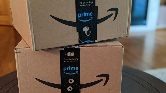 Amazon Boxes (photo: F Prosser)