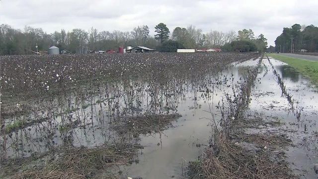 Farmers can't harvest or plant in wet fields