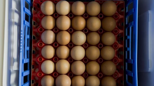 Farmers Hit the Road to Reach Shoppers Before Amazon Does